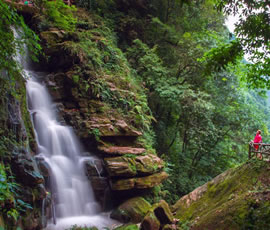 碧峰峽、上里古鎮(zhèn)二日游