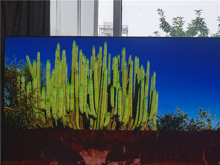 綿陽(yáng)中旅假日旅行社2025年澳洲暨秋季線路品鑒會(huì)